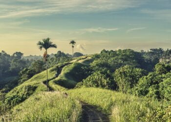 Start making your travel plans for this year